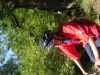 2005-07-18-aec-velo-63.jpg*600*450
